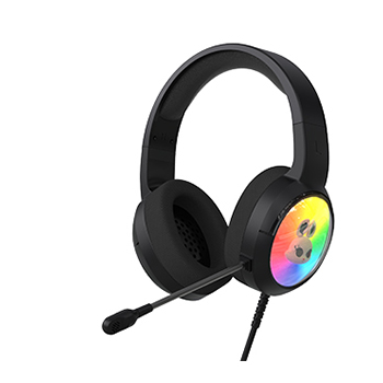 GH1100